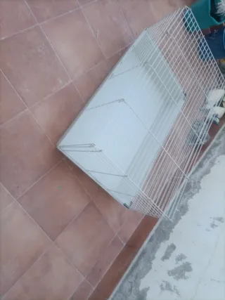 Jaula para conejo o cobaya