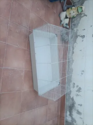 Jaula para conejo o cobaya