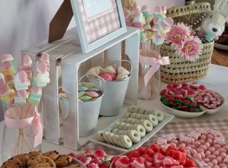 Organizadora de eventos/ Animadora