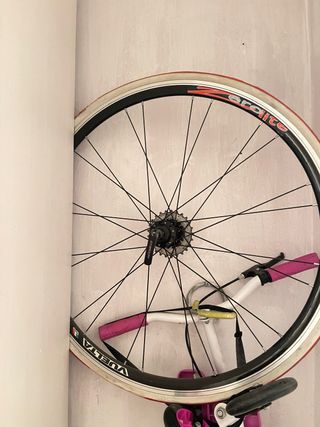 Ruota per Bici da Strada per Rullino