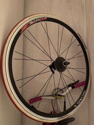 Ruota per Bici da Strada per Rullino