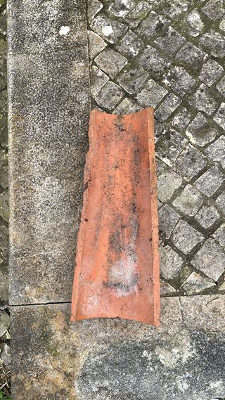 Telhas de canudo em bom estado