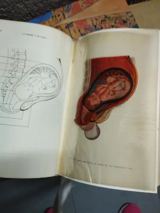 La Madre y el Niño - 1967