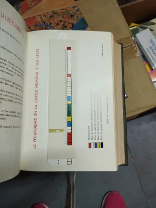 La Madre y el Niño - 1967