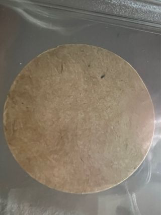 Cromo figurina Maradona Rookie 1977