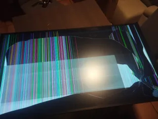 Monitor Philips 55 Roto