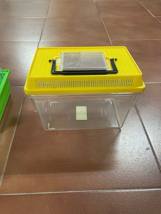 Jaulas para pájaros y accesorios