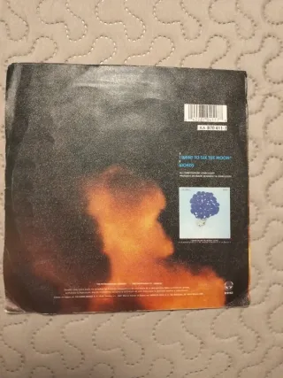 Vinilo John Illsley I Want to See the Moon