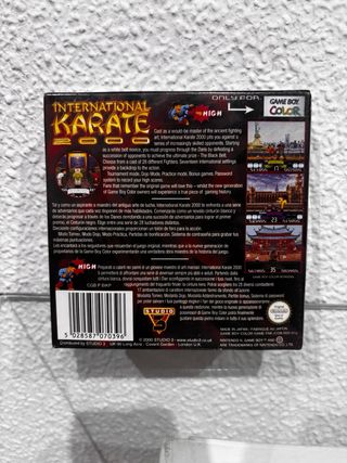 International Karate 2000 per Game Boy Color