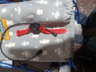 Garmin Forerunner 45 Rojo