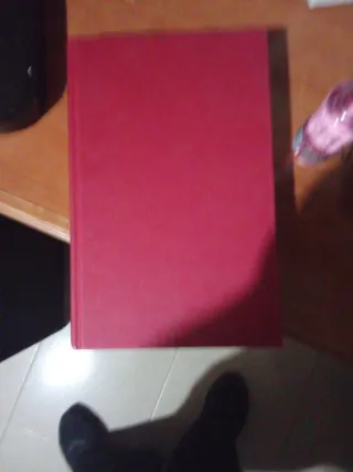 Libro diario de un skin