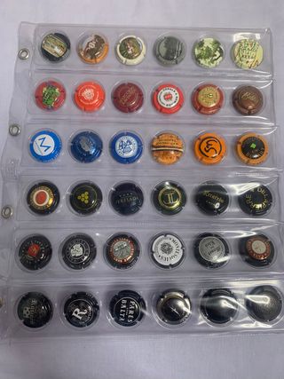 Colección de 385 chapas