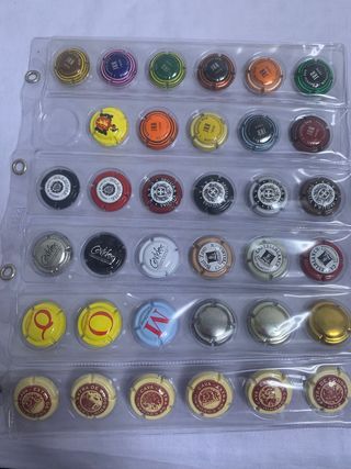 Colección de 385 chapas