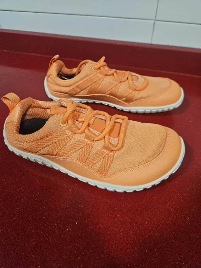 Zapatillas Saguaro Naranja Talla 36