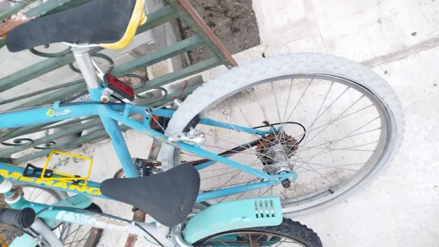 Bicicleta infantil y adulta azul