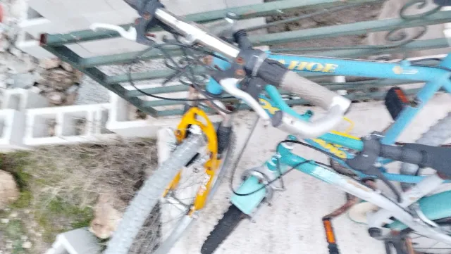 Bicicleta infantil y adulta azul