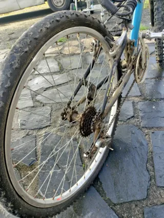 Bicicleta BH Slalom MTB