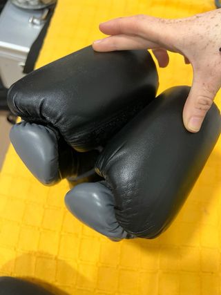 Guantes Boxeo Everlast