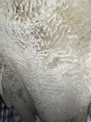 Abrigo de pelo muy bonito