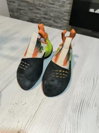 Pies de gato boreal ninja número 6 y medio ( 40 )