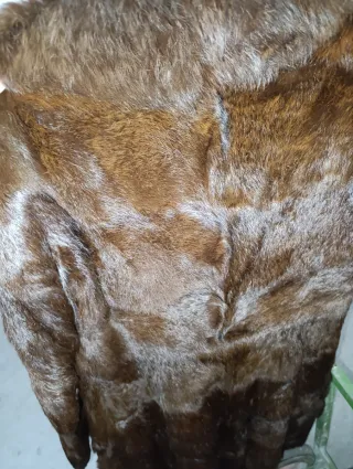 Abrigo de pelo muy bonito