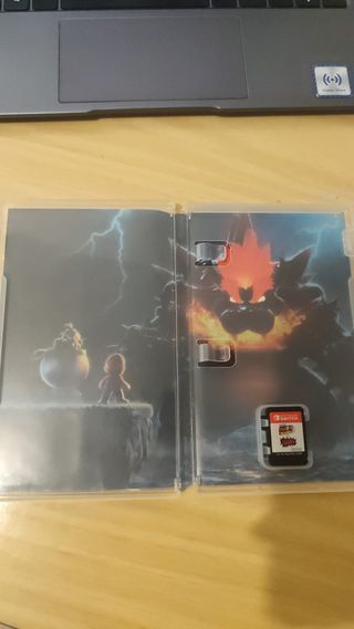 Super Mario 3D World+Bowser's Fury Nintendo Switch