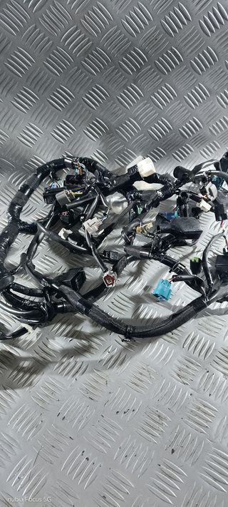 Impianto Cablaggio Elettrico Kawasaki Z 650 21-24