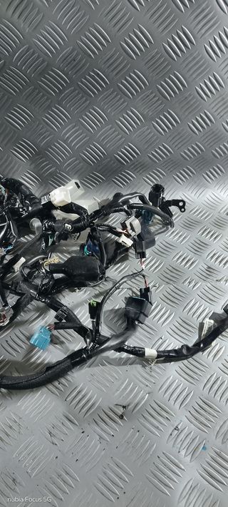 Impianto Cablaggio Elettrico Kawasaki Z 650 21-24