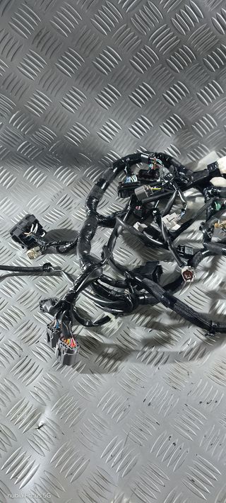 Impianto Cablaggio Elettrico Kawasaki Z 650 21-24