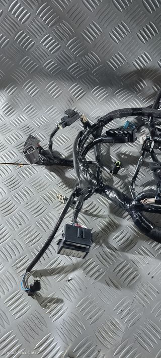 Impianto Cablaggio Elettrico Kawasaki Z 650 21-24