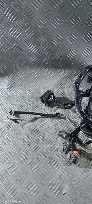 Impianto Cablaggio Elettrico Kawasaki Z 650 21-24