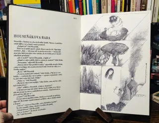 Alice in Wonderland, czech ed. 1983