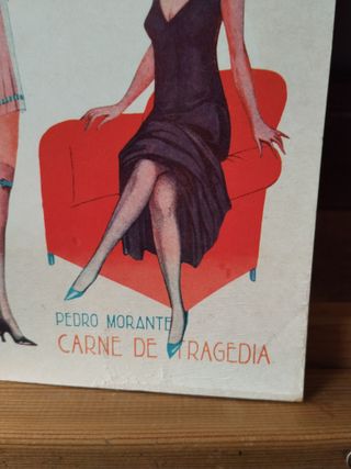 Carne de tragedia novela de hetairas y rufianes