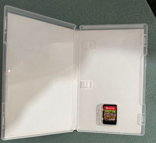 Minecraft Nintendo Switch