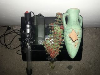 Acuario 25l+Accesorios