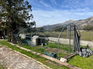 Gallinero PawHut 600x300x190 cm - Para Restaurar