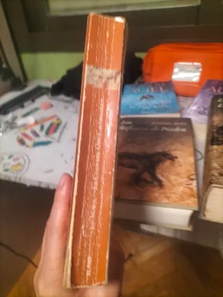 Saga los hijos de la tierra