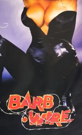 Bandera XXL Pamela Anderson Barb Wire poster flag