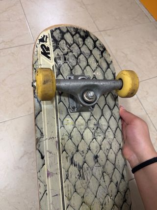 Skate con diseño de escamas