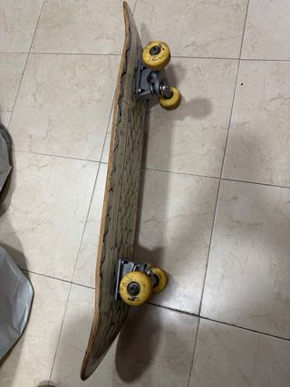 Skate con diseño de escamas