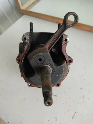 Cigüeñal Agria 3000 Completo