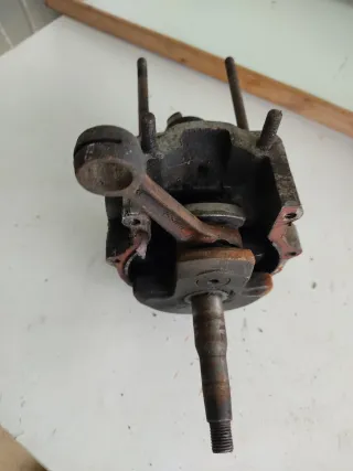 Cigüeñal Agria 3000 Completo