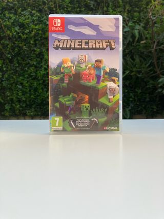 Minecraft Nintendo Switch