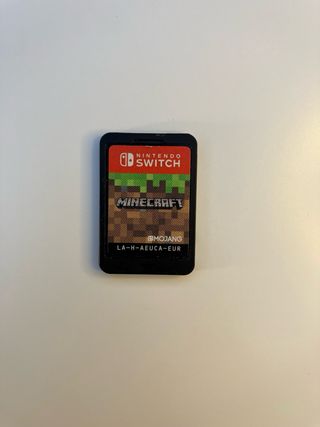 Minecraft Nintendo Switch
