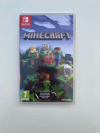 Minecraft Nintendo Switch