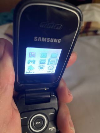 Samsung E1190 Morado