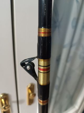 Caña Curricán EVIA 80 Libras