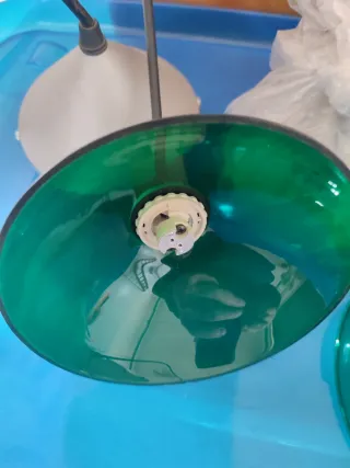 Coppia lampade soffitto vetro