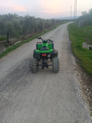 Quad 125cc Verde Todoterreno