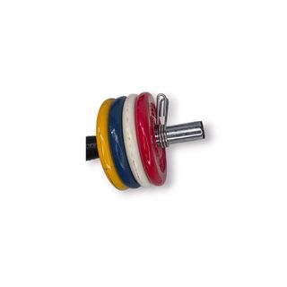 Conjunto Halteres Ajustáveis Salter